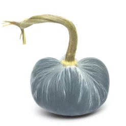 Hot Skwash Living|Décor|Lake Silk Velvet Pumpkin