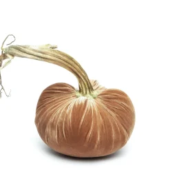 Hot Skwash Living|Décor|Latte Silk Velvet Pumpkin