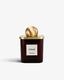 Assouline Candles|Library Candle in Cigar