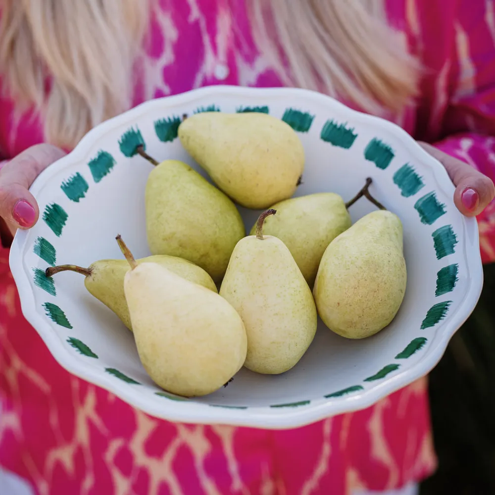 VIETRI Dinnerware|Lisbon Green Stitch Serving Bowl