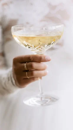 Waterford Glassware|Lismore Essence Champagne Saucer 9.5 oz, Set of 2