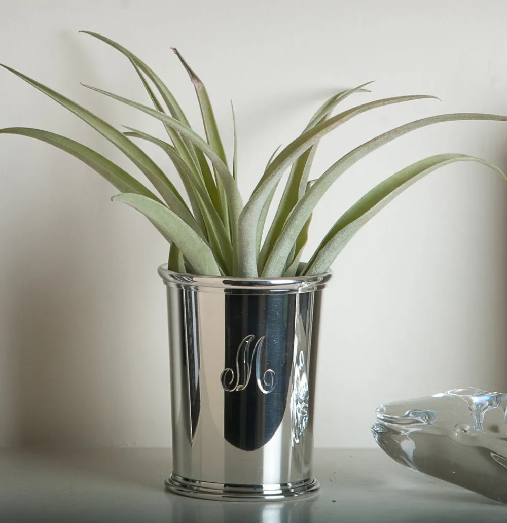 Salisbury Bar|Silver|Maryland Julep Cup
