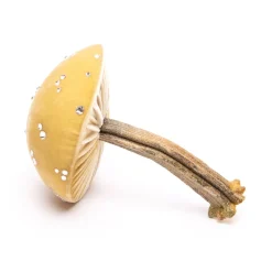 Hot Skwash Living|Décor|Medium Husk Mushrooms