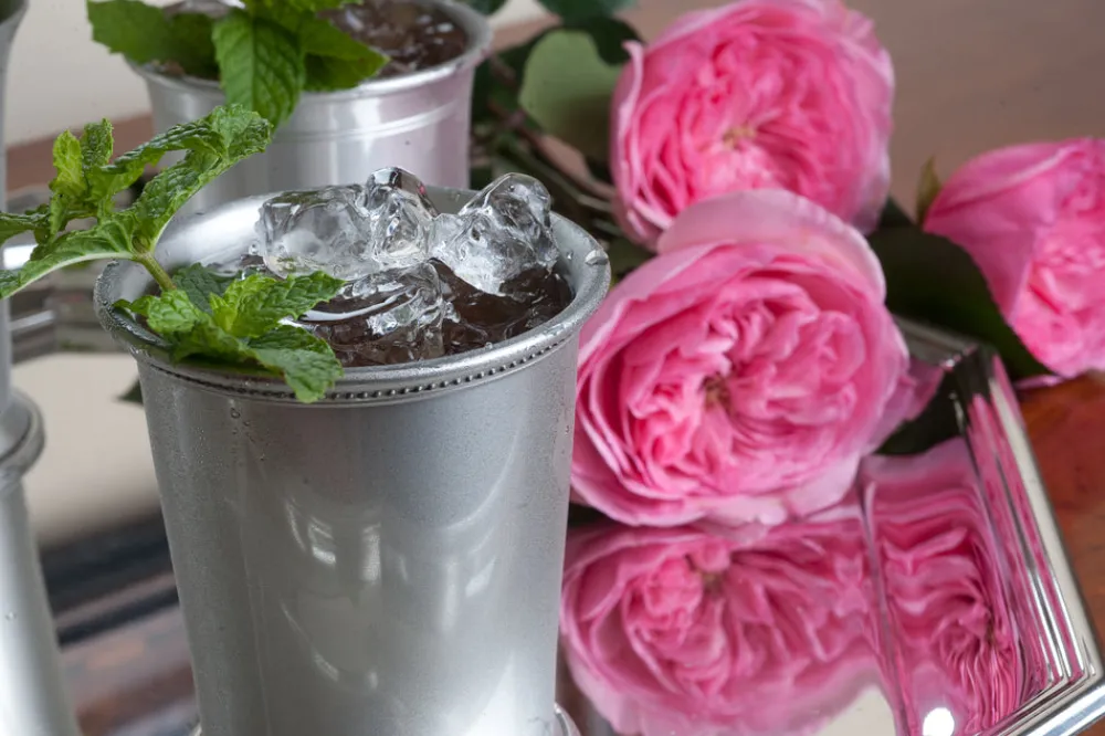 Salisbury Bar|Silver|Mississippi Julep Cup