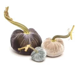 Hot Skwash Living|Décor|Moody, 007