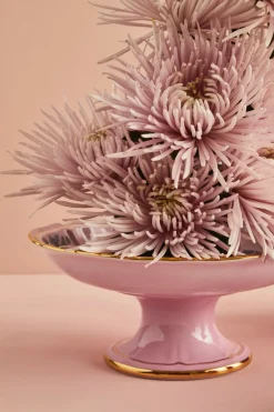 Ginori 1735 Dinnerware|Oriente Italiano Fruit Stand in Albus