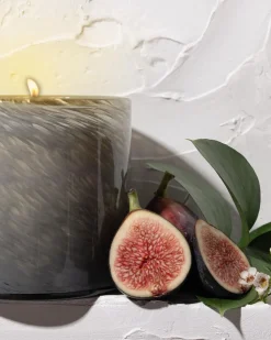 LAFCO New York Candles & Fragrance|Candles|Paradiso Fig Signature Candle