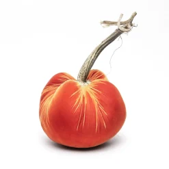 Hot Skwash Living|Décor|Persimmon Silk Velvet Pumpkin