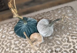 Hot Skwash Living|Décor|Petite Chic, 042