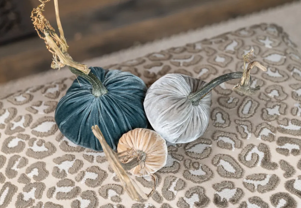 Hot Skwash Living|Décor|Petite Chic, 042