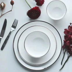 Twig NY Dinnerware|Platinum Edge 10