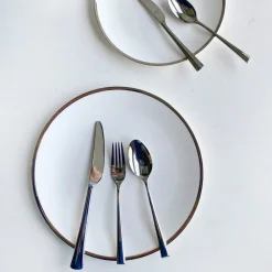 Twig NY Dinnerware|Platinum Edge Plate, Set of 2