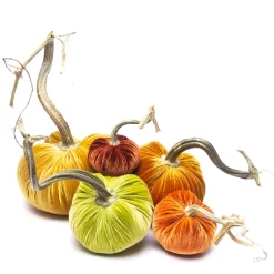 Hot Skwash Living|Décor|Pumpkin Bundle in Paradise