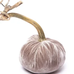 Hot Skwash Living|Décor|Putty Silk Velvet Pumpkin