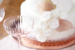 Caskata Glassware|Quinn Optic Rose Coupe Glasses, Set of 2