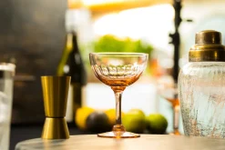 The Vintage List Glassware|Rose Champagne Saucers With Lens Design, Set of 4