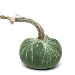 Hot Skwash Living|Décor|Sage Silk Velvet Pumpkin