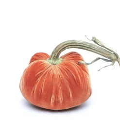 Hot Skwash Living|Décor|Salmon Silk Velvet Pumpkin