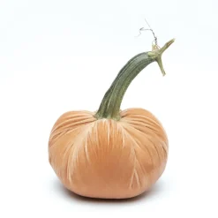 Hot Skwash Living|Décor|Sandstone Silk Velvet Pumpkin