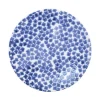 VIETRI Dinnerware|Santorini Flower Dinner Plate