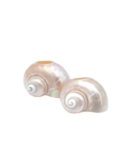 Inner Child Place Settings & Linens|Seashell Napkin Rings, Set of 4