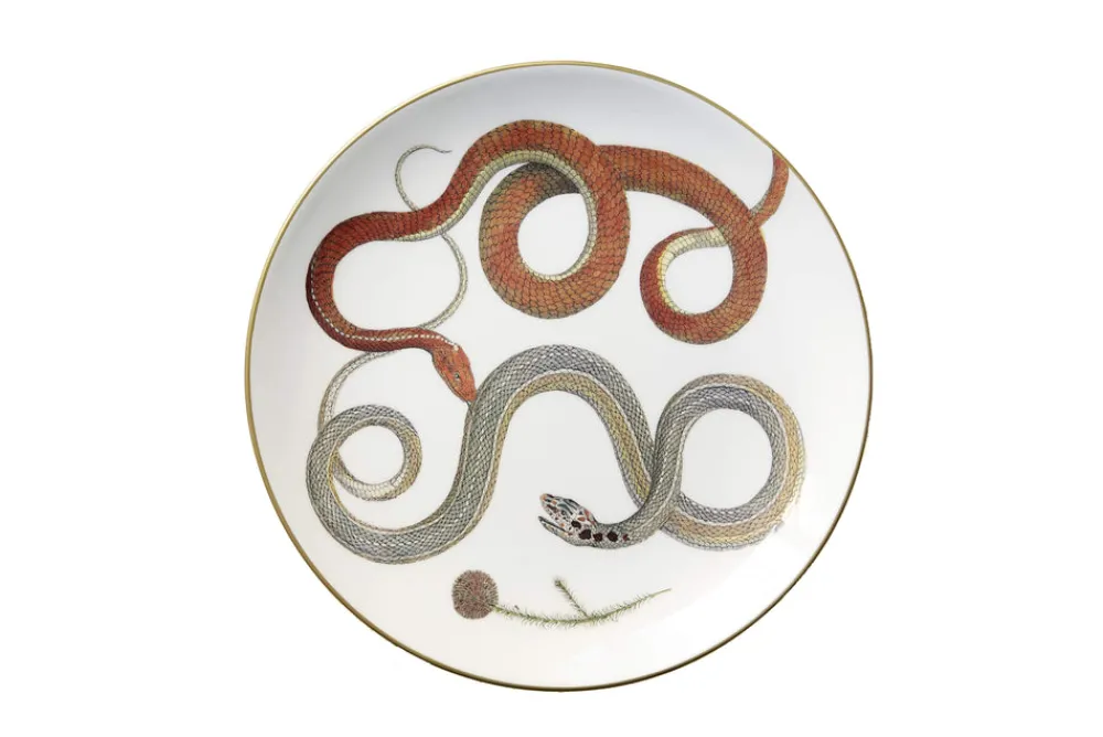 Laboratorio Paravicini Dinnerware|Serpentine Dinner Plate in Red Serpentines