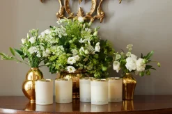 AERIN Candles & Fragrance|Candles|Sintra Gardenia - 9.5 oz