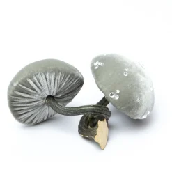 Hot Skwash Living|Décor|Small Spa Mushroom