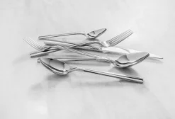 Fortessa Flatware|Sonia Flatware Set