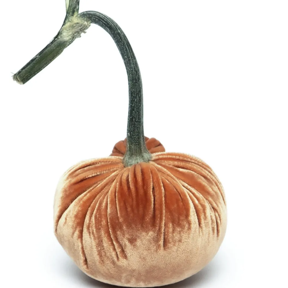 Hot Skwash Living|Décor|Spice Silk Velvet Pumpkin