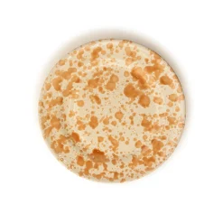 Sharland England Dinnerware|Splatter Dinner Plate, Set of 4