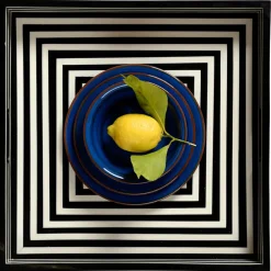 MARIO LUCA GIUSTI Dinnerware|St. Tropez Melamine Dinner Plate