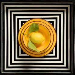 MARIO LUCA GIUSTI Dinnerware|St. Tropez Melamine Dinner Plate