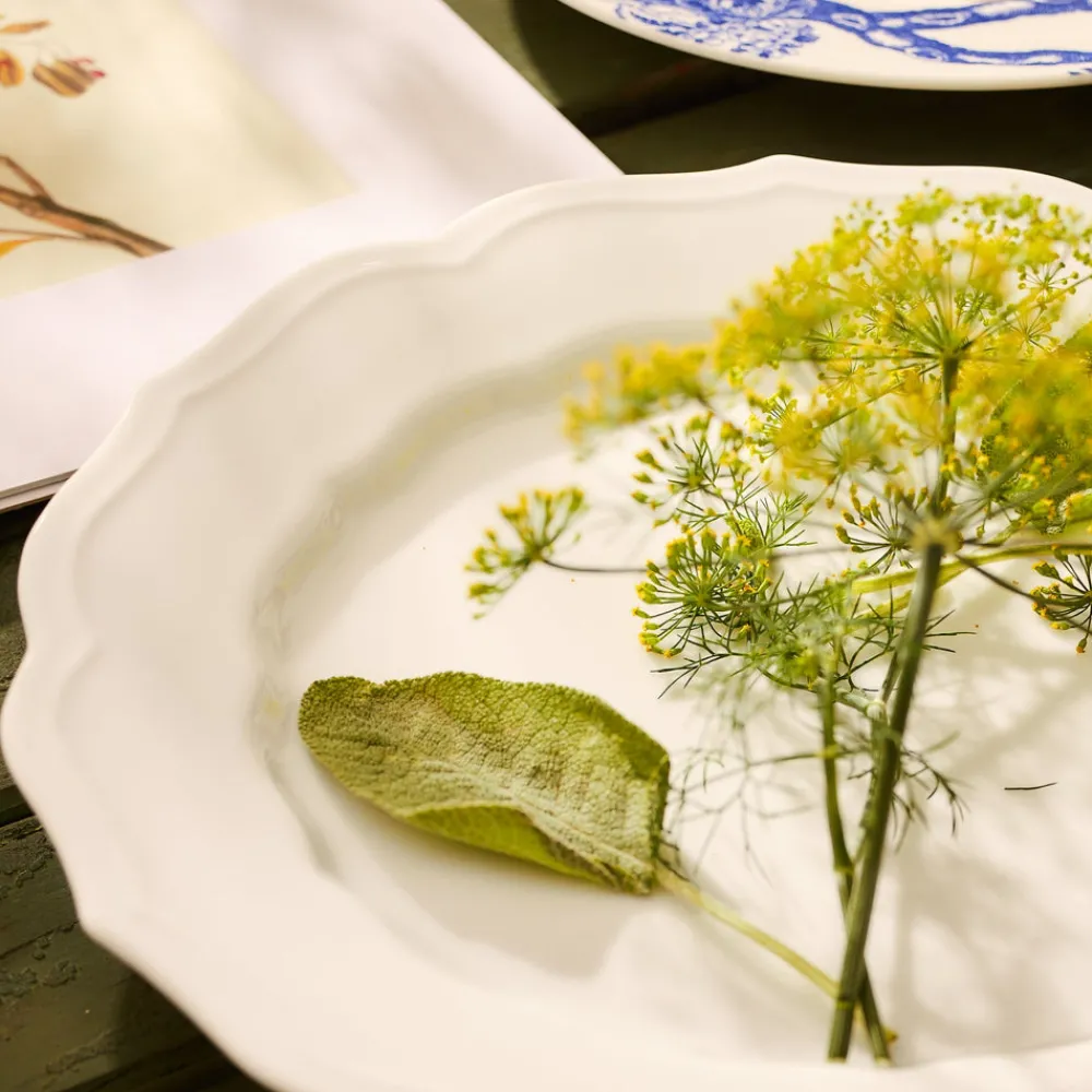 Caskata Dinnerware|Stella Scalloped White Dinner Plate