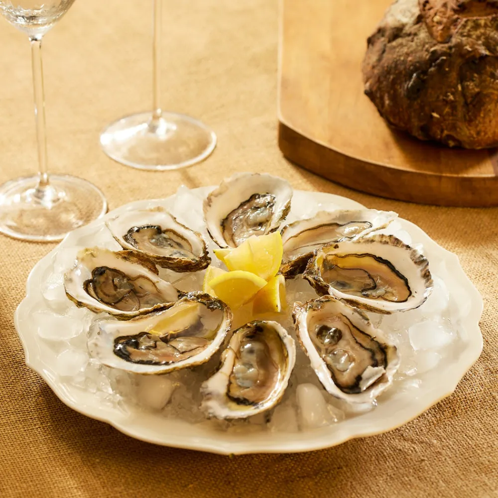 Caskata Dinnerware|Stella Scalloped White Dinner Plate