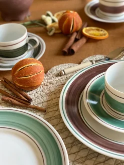 Molecot Dinnerware|Tangerine Dinner Plate In Cactus Green