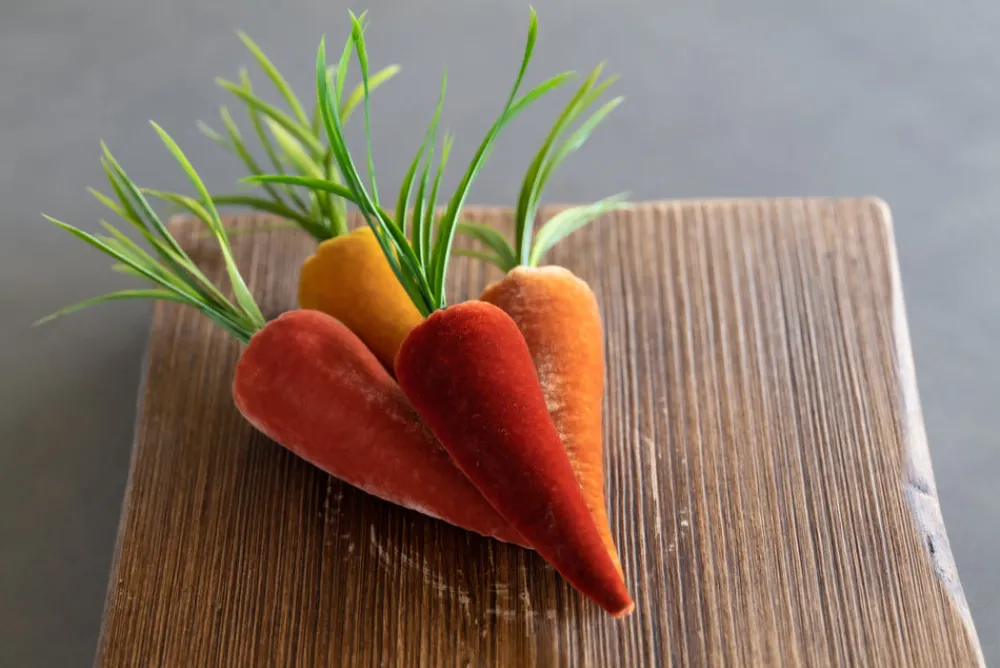 Hot Skwash Living|Décor|Traditional Carrots