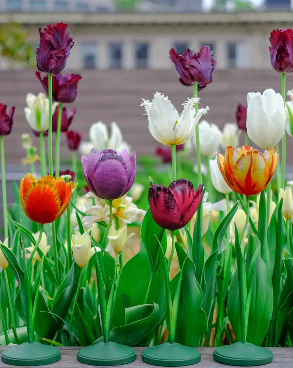 Inner Child Candles|Tulip Candleholder Large 12"