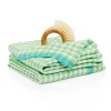 Caravan Place Settings & Linens|Two-Tone Gingham Towels in Lime & Aqua, Set of 2