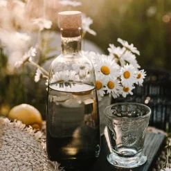 La Rochere Glassware|Versailles Tumbler, Set of 6