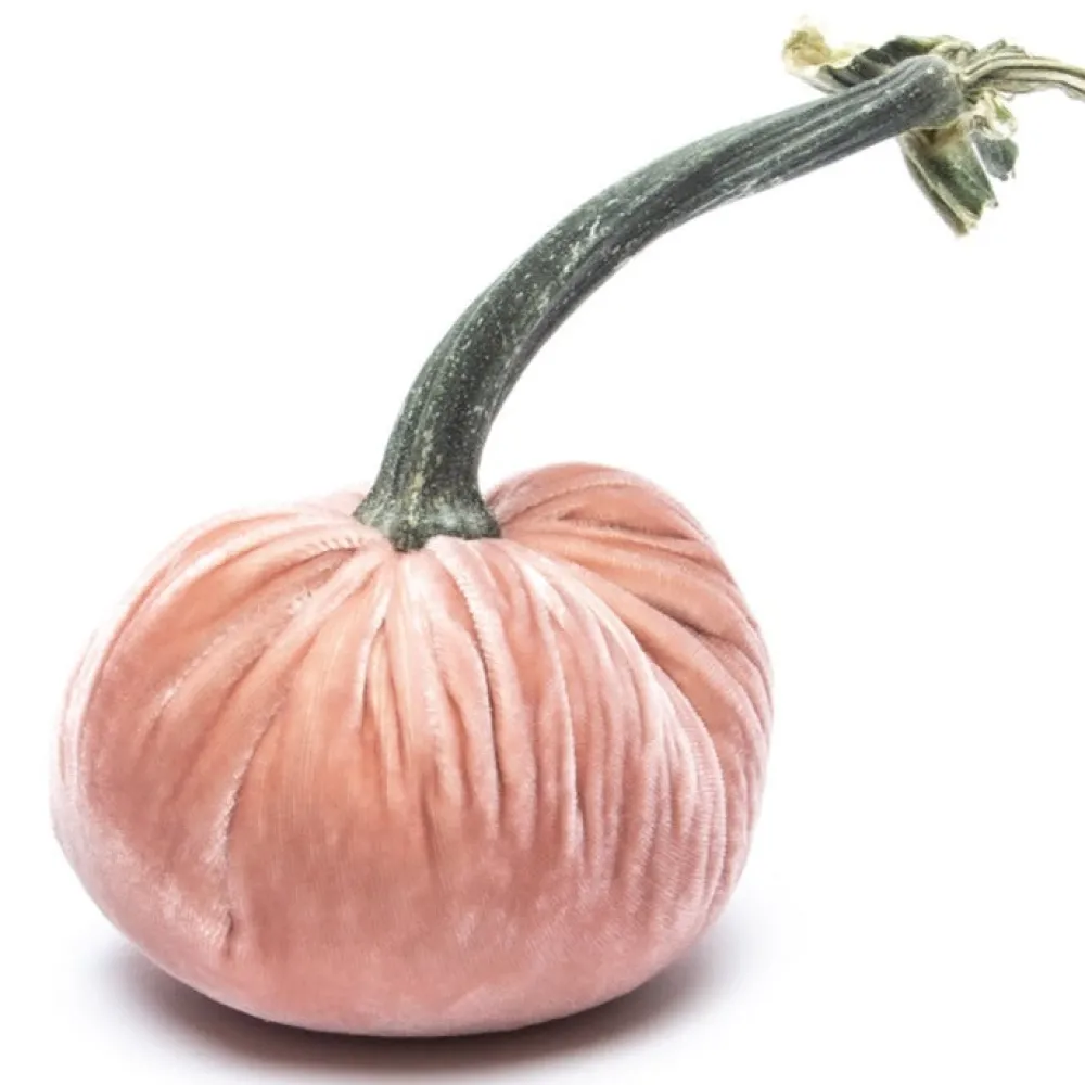 Hot Skwash Living|Décor|Vintage Silk Velvet Pumpkin