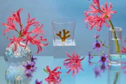 Sprezz Glassware|Whimsical Tumbler Glasses, Set of 4