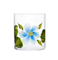 Petra Palumbo Glassware|Wildflowers Jug with Set of 6 Tumblers
